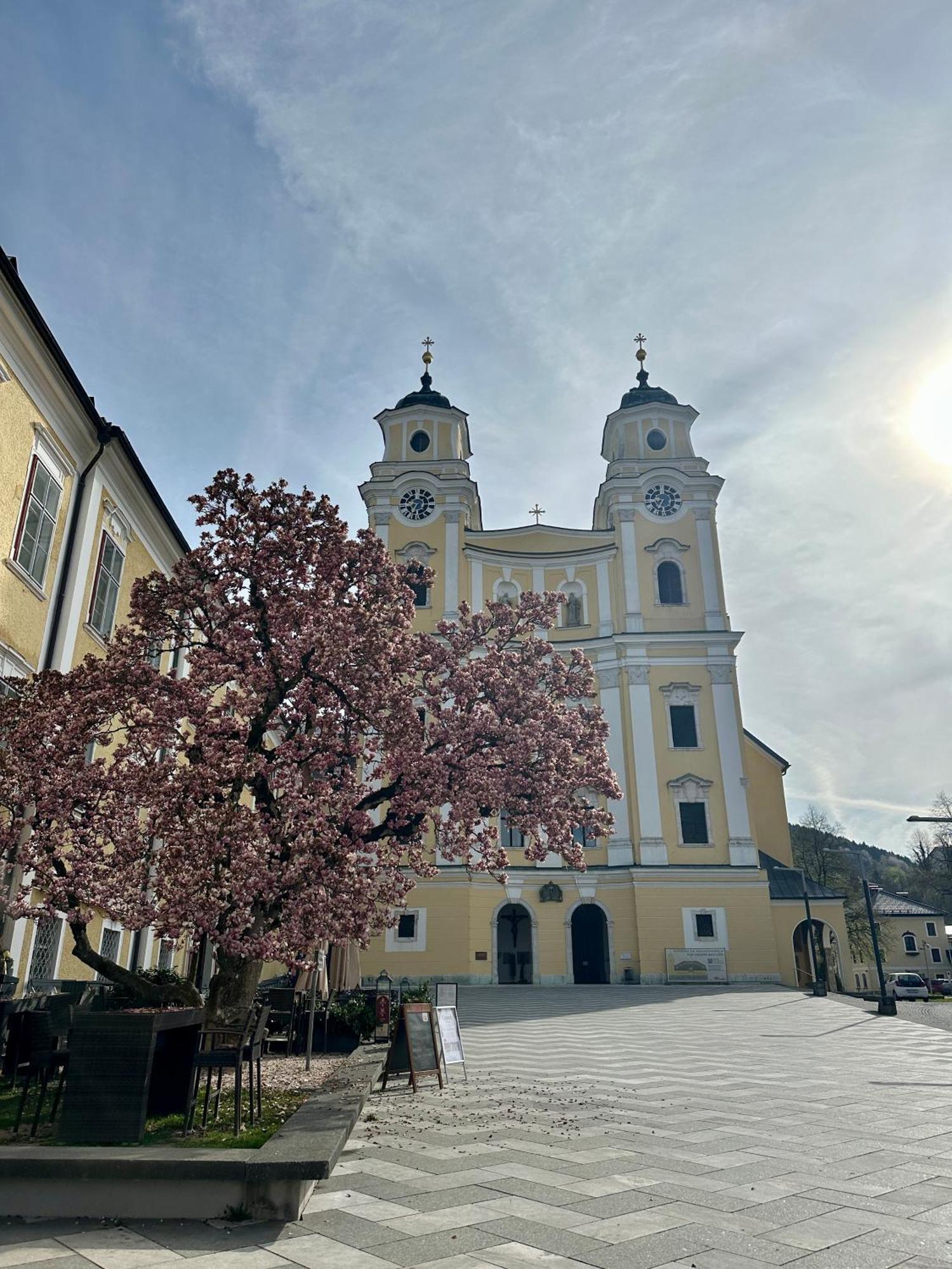 17Er Apartment Mit Sauna Und Privater Garage Mondsee Exterior foto